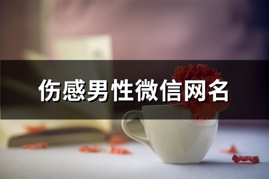 伤感男性微信网名(共688个)