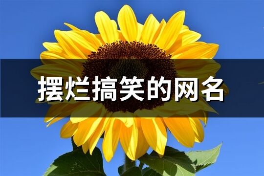 摆烂搞笑的网名(优选226个)