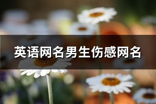 英语网名男生伤感网名(87个)