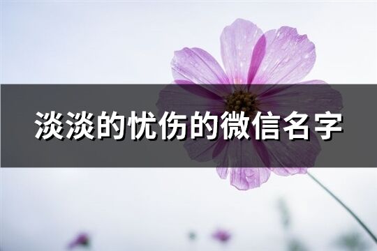 淡淡的忧伤的微信名字(341个)