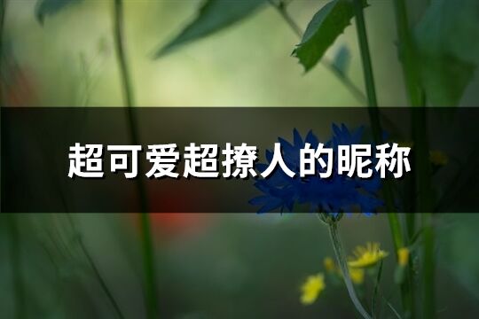 超可爱超撩人的昵称(精选661个)