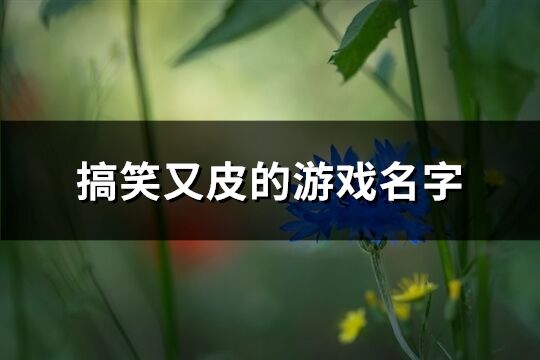 搞笑又皮的游戏名字(优选254个)