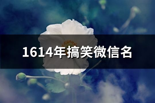 1614年搞笑微信名(共202个)