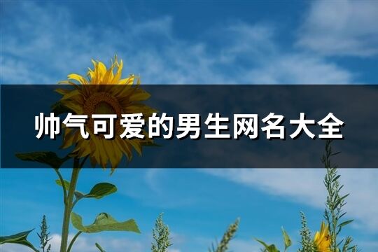 帅气可爱的男生网名大全(共267个)