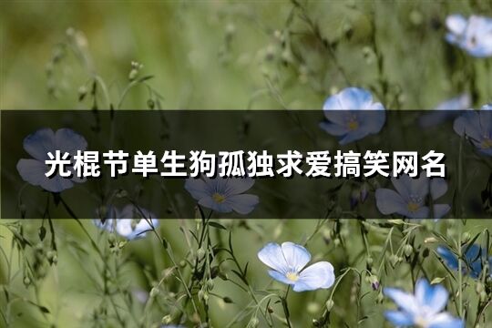 光棍节单生狗孤独求爱搞笑网名(精选532个)