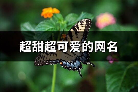 超甜超可爱的网名(223个)