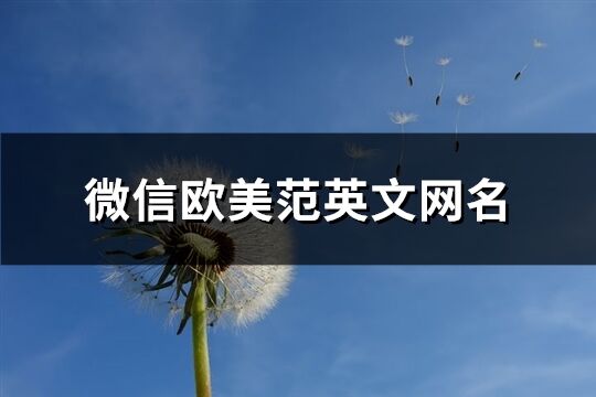 微信欧美范英文网名(共133个)