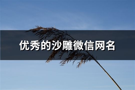 优秀的沙雕微信网名(共208个)