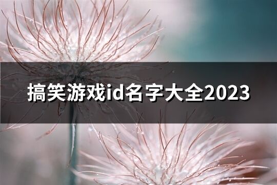 搞笑游戏id名字大全2023(共45个)