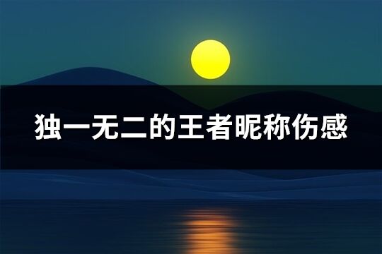 独一无二的王者昵称伤感(精选395个)