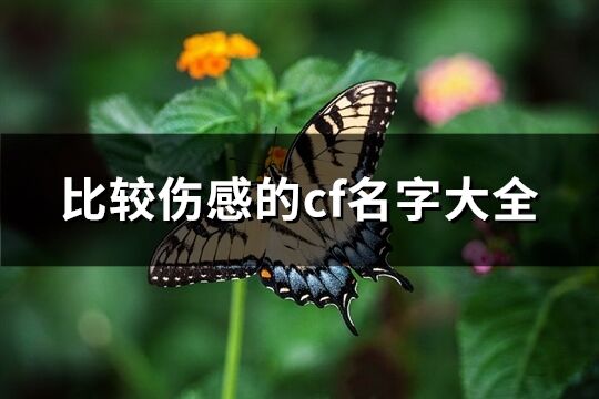 比较伤感的cf名字大全(共163个)