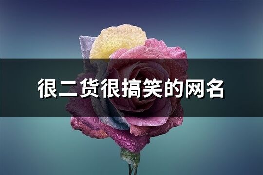 很二货很搞笑的网名(92个)