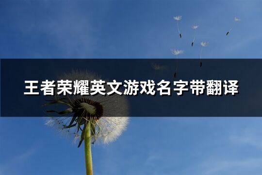 王者荣耀英文游戏名字带翻译(优选144个)