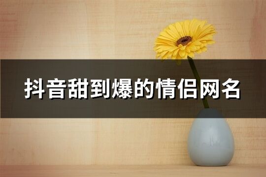 抖音甜到爆的情侣网名(151个)