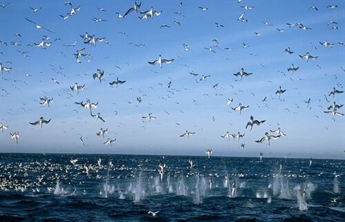 很长的伤感网名大全(精选439个) 很长的伤感网名大全(精选439个)