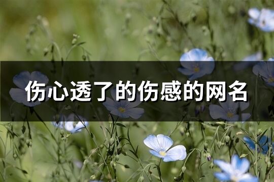 伤心透了的伤感的网名(共938个)