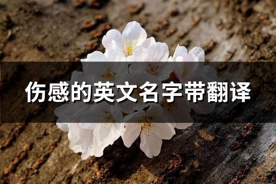 伤感的英文名字带翻译(优选60个)