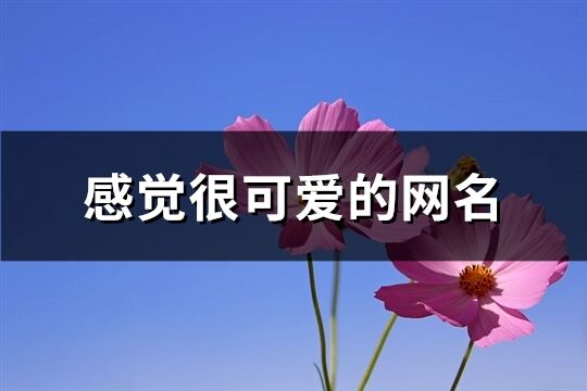 感觉很可爱的网名(精选877个)