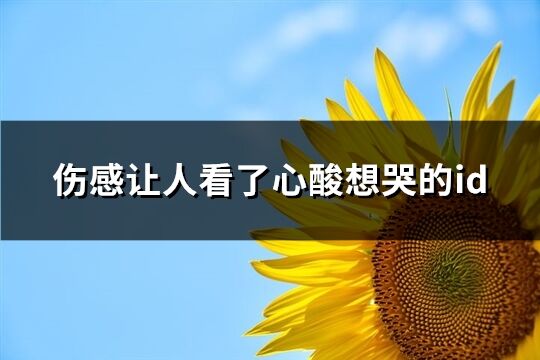 伤感让人看了心酸想哭的id(230个)