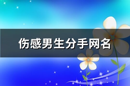 伤感男生分手网名(248个)