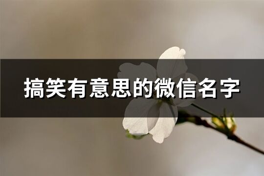 搞笑有意思的微信名字(共177个)