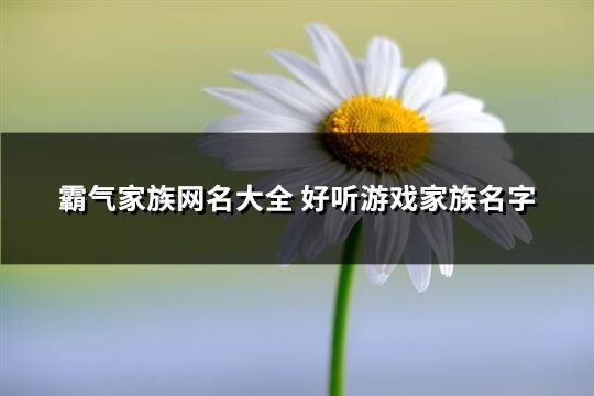 霸气家族网名大全 好听游戏家族名字(优选115个)