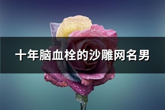 十年脑血栓的沙雕网名男(291个)