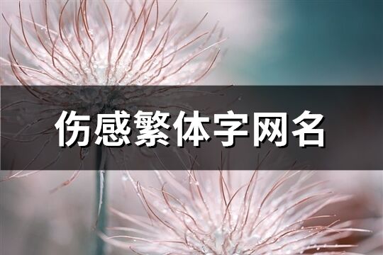 伤感繁体字网名(共177个)