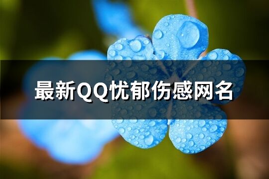 最新QQ忧郁伤感网名(共646个)