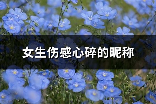 女生伤感心碎的昵称(精选216个)