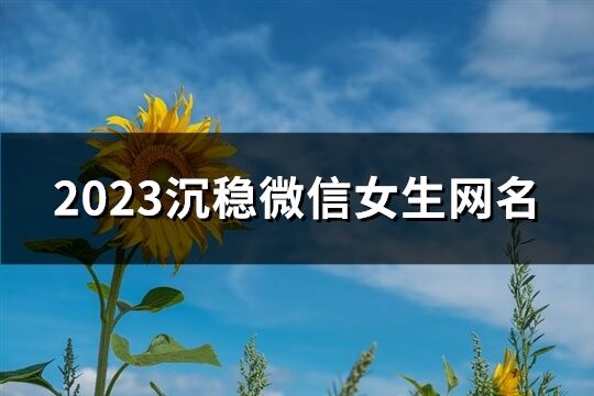 2023沉稳微信女生网名(共354个)