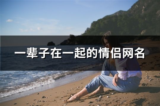 一辈子在一起的情侣网名(580对)