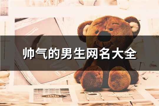 帅气的男生网名大全(共158个)