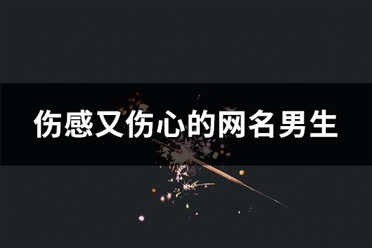 伤感又伤心的网名男生(34个)