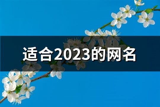 适合2023的网名(共1625个)