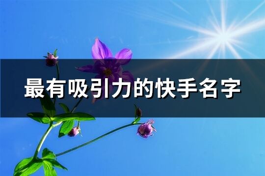 最有吸引力的快手名字(799个)