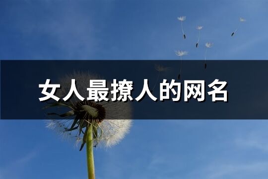 女人最撩人的网名(精选232个)