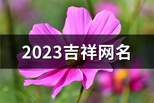 2023吉祥网名(优选447个)