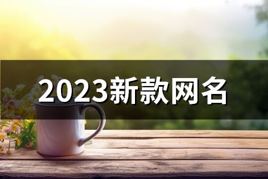 2023新款网名(871个)