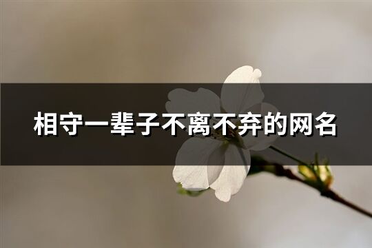 相守一辈子不离不弃的网名(共79个)