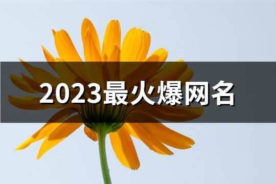 2023最火爆网名(共1518个)