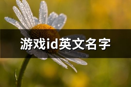 游戏id英文名字(共314个)