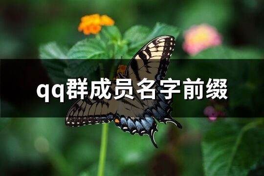 qq群成员名字前缀(共76个)