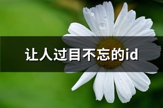 让人过目不忘的id(共215个)