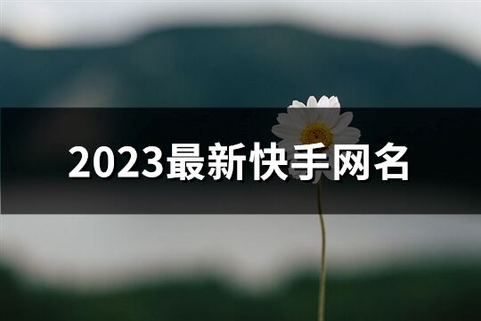 2023最新快手网名(共690个)