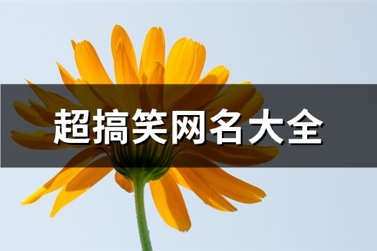 超搞笑网名大全(精选395个)