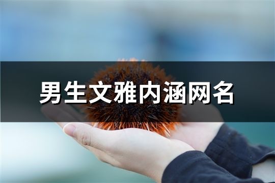 男生文雅内涵网名(精选654个)