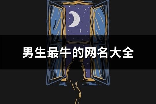 男生最牛的网名大全(精选351个)