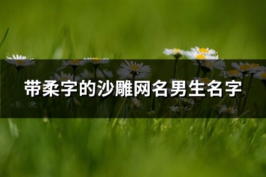 带柔字的沙雕网名男生名字(共63个)