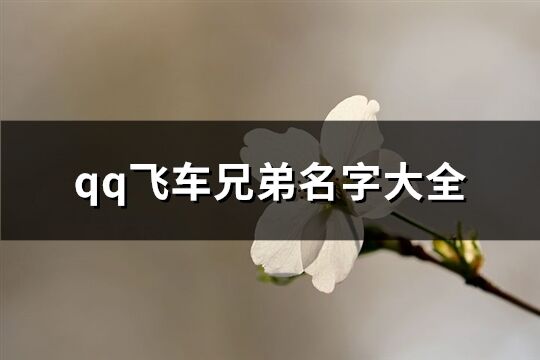 qq飞车兄弟名字大全(精选76个)